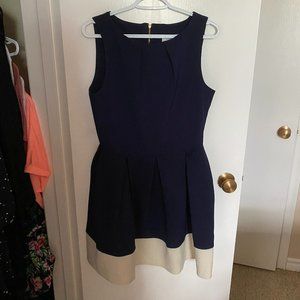 Blue and Cream Skater Dress